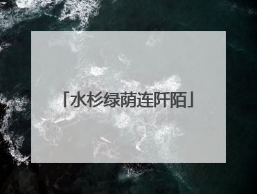 水杉绿荫连阡陌