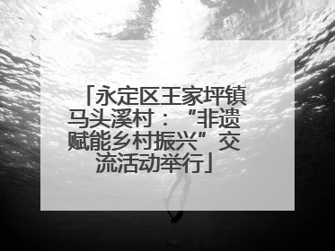 永定区王家坪镇马头溪村：“非遗赋能乡村振兴”交流活动举行