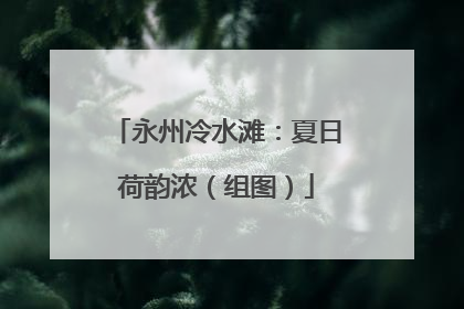 永州冷水滩：夏日荷韵浓（组图）