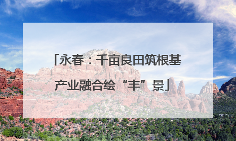 永春：千亩良田筑根基 产业融合绘“丰”景