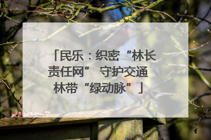 民乐：织密“林长责任网” 守护交通林带“绿动脉”