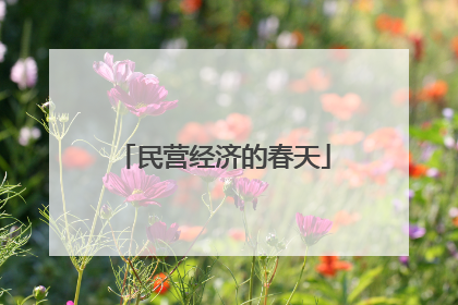 民营经济的春天