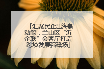 汇聚民企出海新动能，兰山区“沂企联”会客厅打造跨境发展强磁场