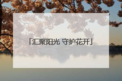 汇聚阳光 守护花开