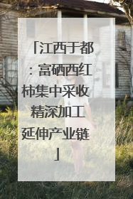 江西于都：富硒西红柿集中采收 精深加工延伸产业链