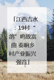 江西吉水：19村“鸽”鸣致富曲 奏响乡村产业振兴强音
