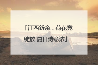 江西新余：荷花竞绽放 夏日诗意浓