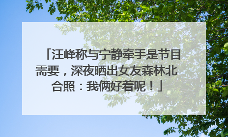 汪峰称与宁静牵手是节目需要，深夜晒出女友森林北合照：我俩好着呢！