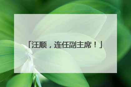 汪顺，连任副主席！