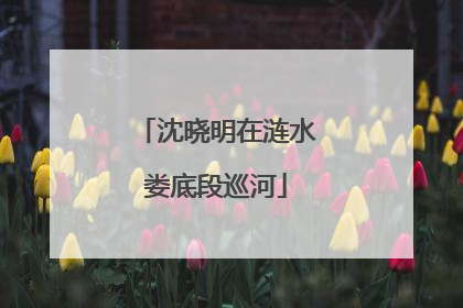 沈晓明在涟水娄底段巡河