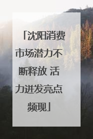 沈阳消费市场潜力不断释放 活力迸发亮点频现