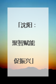沈阳：聚智赋能促振兴