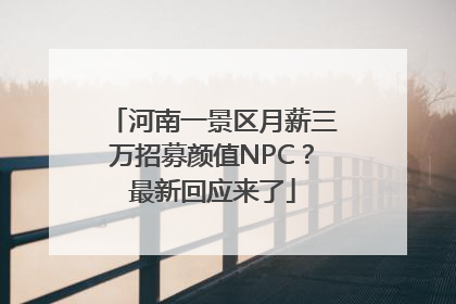 河南一景区月薪三万招募颜值NPC？最新回应来了