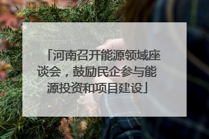 河南召开能源领域座谈会，鼓励民企参与能源投资和项目建设