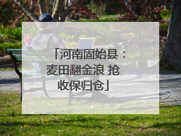 河南固始县：麦田翻金浪 抢收保归仓