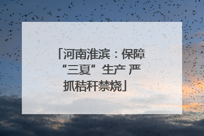 河南淮滨：保障“三夏”生产 严抓秸秆禁烧