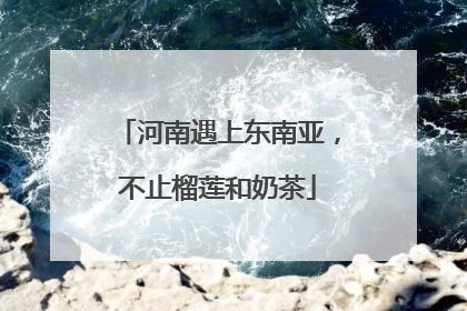 河南遇上东南亚，不止榴莲和奶茶