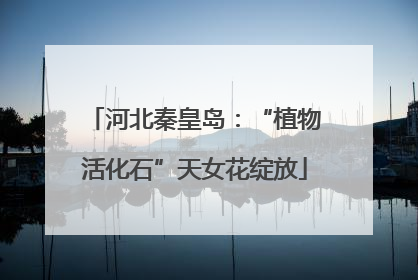 河北秦皇岛：“植物活化石”天女花绽放