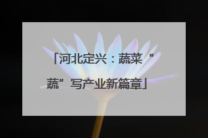 河北定兴：蔬菜“蔬”写产业新篇章