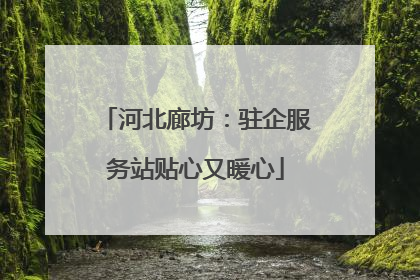 河北廊坊：驻企服务站贴心又暖心