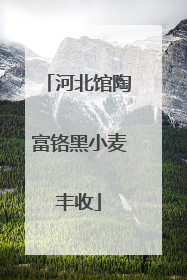 河北馆陶富铬黑小麦丰收