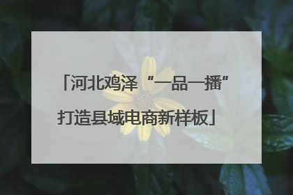 河北鸡泽“一品一播”打造县域电商新样板