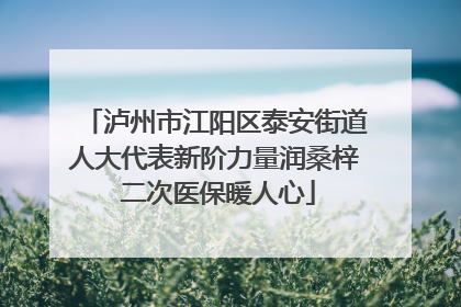 泸州市江阳区泰安街道人大代表新阶力量润桑梓 二次医保暖人心