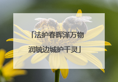 法护春晖泽万物 润毓边城护千灵