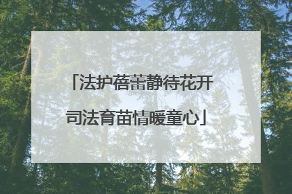 法护蓓蕾静待花开 司法育苗情暖童心