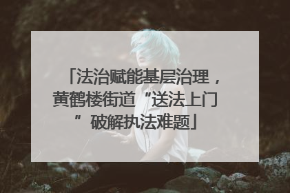 法治赋能基层治理，黄鹤楼街道“送法上门”破解执法难题