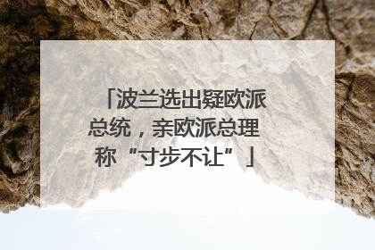 波兰选出疑欧派总统，亲欧派总理称“寸步不让”