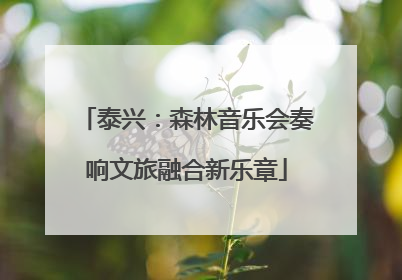 泰兴：森林音乐会奏响文旅融合新乐章