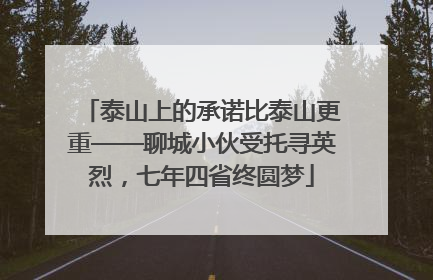 泰山上的承诺比泰山更重——聊城小伙受托寻英烈，七年四省终圆梦