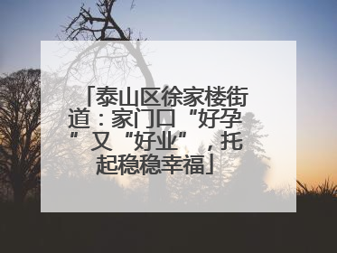 泰山区徐家楼街道：家门口“好孕”又“好业”，托起稳稳幸福