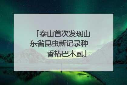 泰山首次发现山东省昆虫新记录种——香椿巴木虱