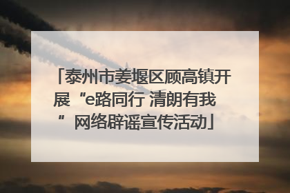 泰州市姜堰区顾高镇开展“e路同行 清朗有我”网络辟谣宣传活动