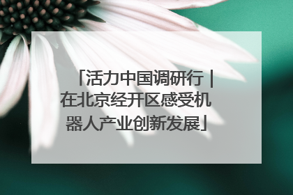 活力中国调研行｜在北京经开区感受机器人产业创新发展