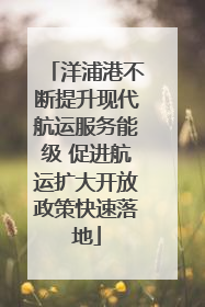 洋浦港不断提升现代航运服务能级 促进航运扩大开放政策快速落地