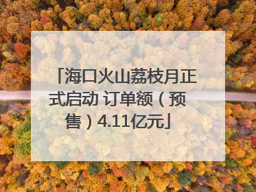海口火山荔枝月正式启动 订单额（预售）4.11亿元