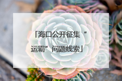 海口公开征集“运霸”问题线索