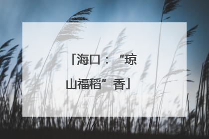 海口：“琼山福稻”香