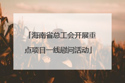 海南省总工会开展重点项目一线慰问活动