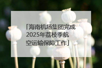 海南机场集团完成2025年荔枝季航空运输保障工作