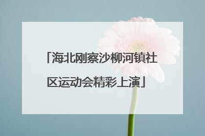 海北刚察沙柳河镇社区运动会精彩上演