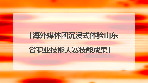 海外媒体团沉浸式体验山东省职业技能大赛技能成果