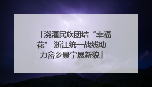 浇灌民族团结“幸福花” 浙江统一战线助力畲乡景宁展新貌