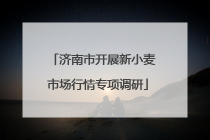 济南市开展新小麦市场行情专项调研