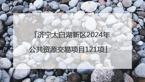 济宁太白湖新区2024年公共资源交易项目121项