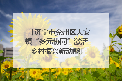 济宁市兖州区大安镇“多元协同”激活乡村振兴新动能