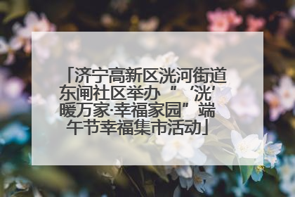 济宁高新区洸河街道东闸社区举办“‘洸’暖万家·幸福家园”端午节幸福集市活动